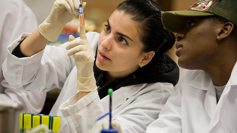 biomedical sciences phd programs