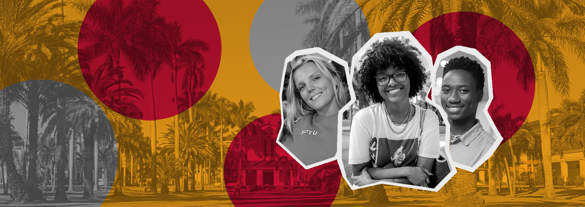 Discover BarryU Undergraduate Admissions Barry University, Miami, FL