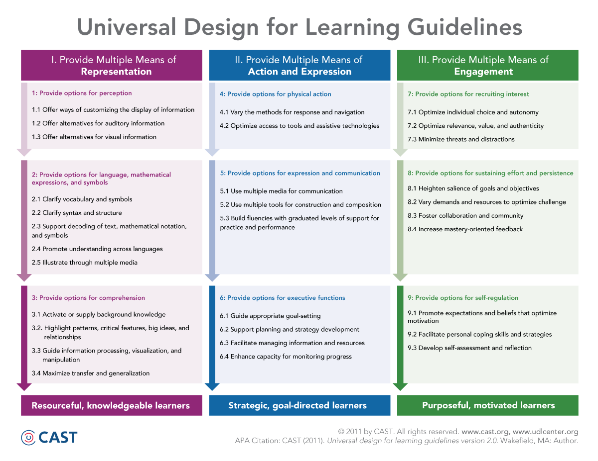 Universal Design for Learning Guidelines