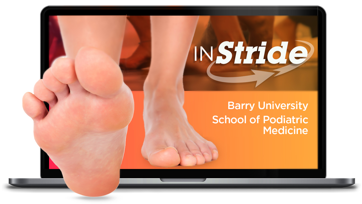 Barry University Spring 2025 Calendar valma harmonia